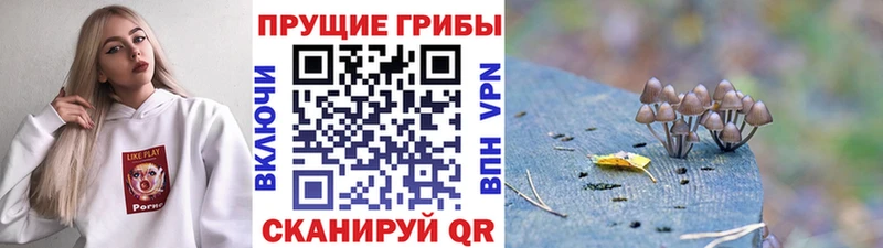 Галлюциногенные грибы мицелий  Лагань 